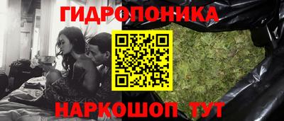 шишки Гагарин