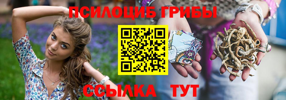 Галлюциногенные грибы ЛСД  Вход с VPN  Бердск 